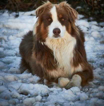 Buddy Profile Image