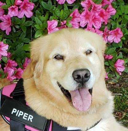 Piper Profile Image