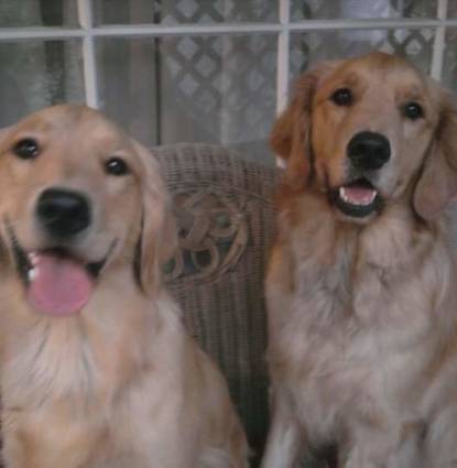 Sydney and Harlie Profile Image