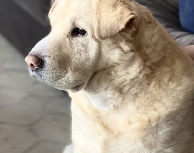 Beau Profile Image