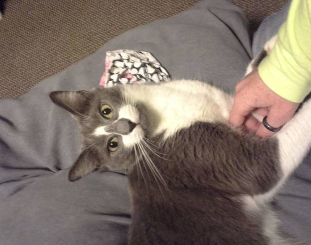 Louie Profile Image