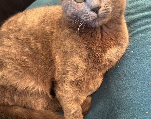 Smokey Profile Image