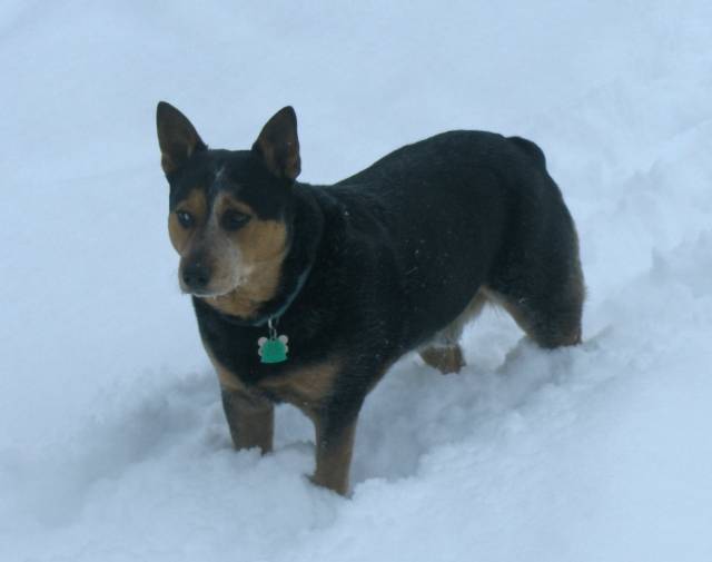 Yukon Profile Image