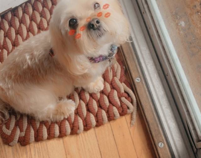 Bailey Gallery Image 4