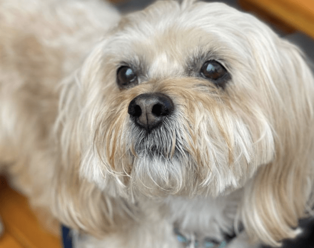 Bailey Gallery Image 2
