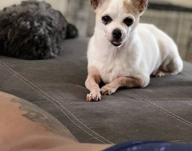 Coco Profile Image