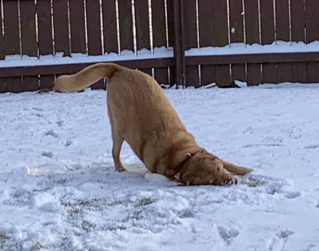 Cooper Profile Image