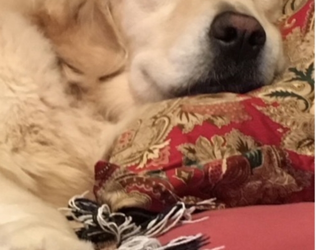 BENTLEY Profile Image