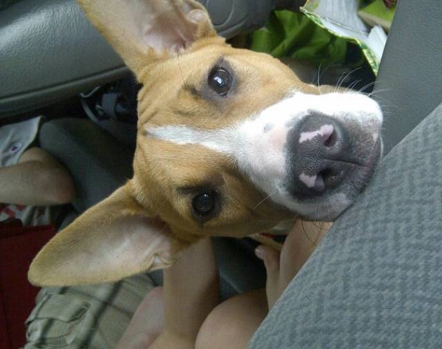 Darla Profile Image