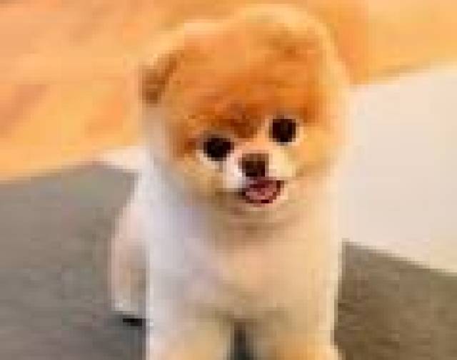 Jax Profile Image