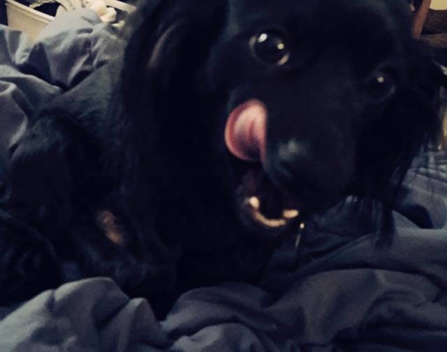 Rocky Profile Image