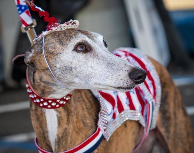 Gracie Mae Profile Image