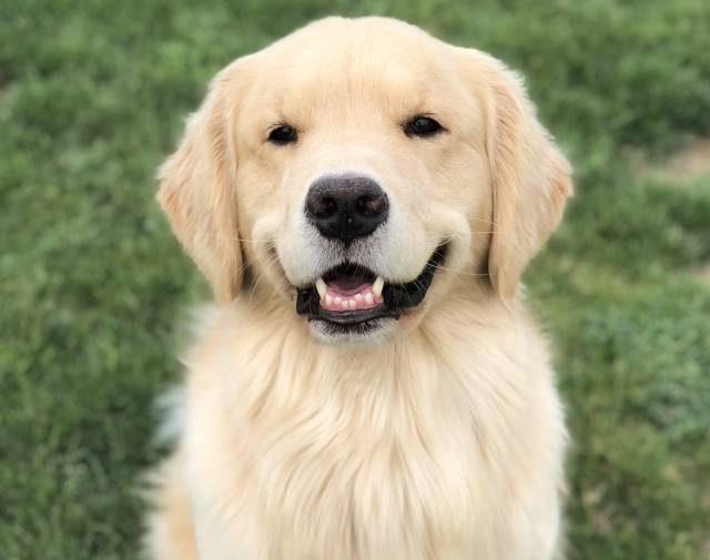 Bailey Profile Image