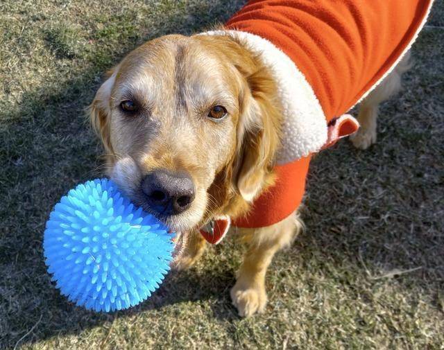 Brody Hero #2976 Gallery Image 1