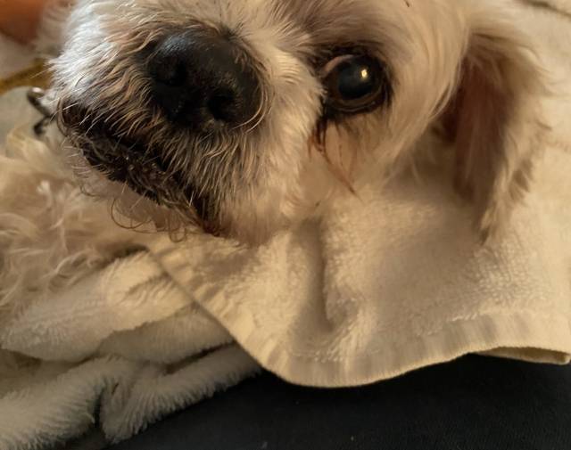 Rockee Profile Image
