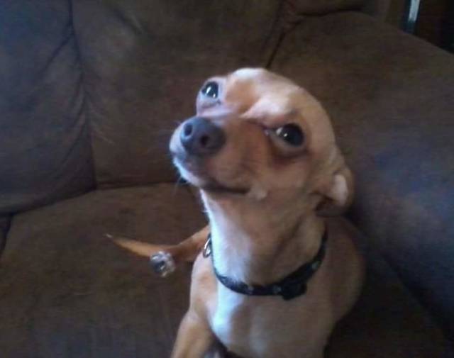 Elmerfuddpucker Profile Image