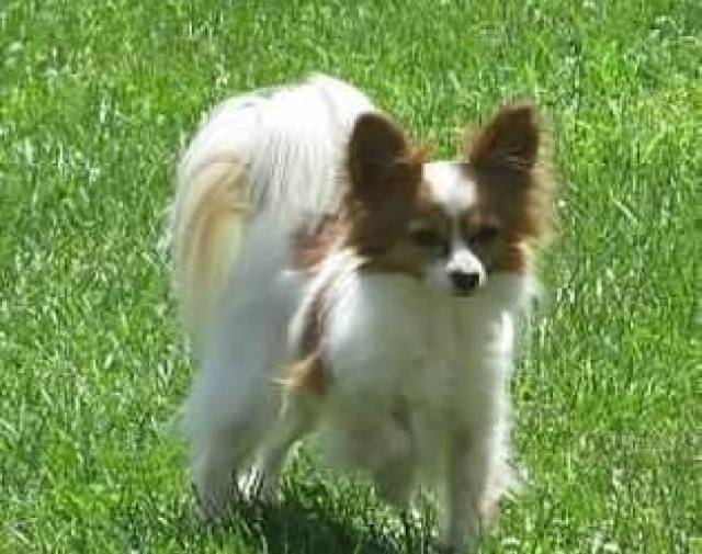 Lainey Profile Image