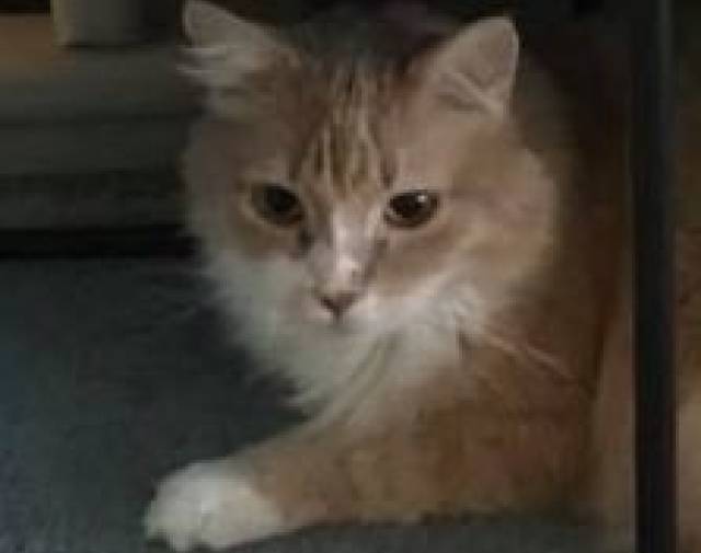 Fletcher Profile Image