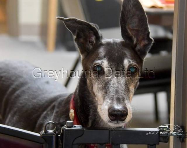Gary Gityourown Profile Image