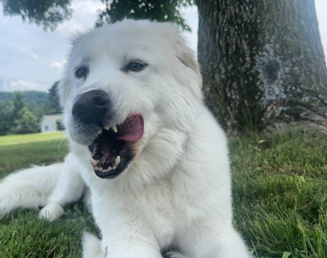 Finn Profile Image