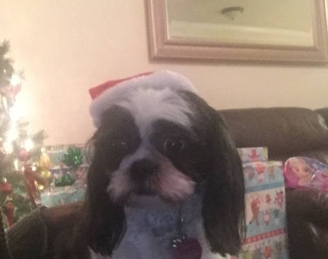 Bella Profile Image