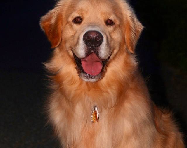 Just a happy boy Just a happy boy