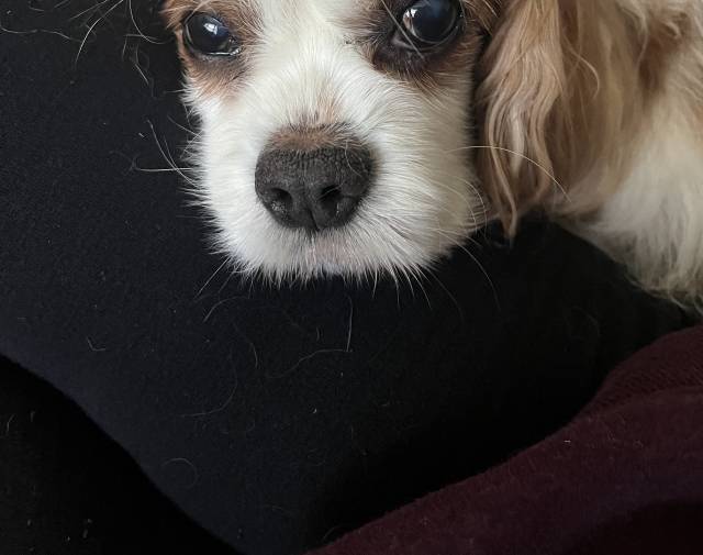 Miley Profile Image