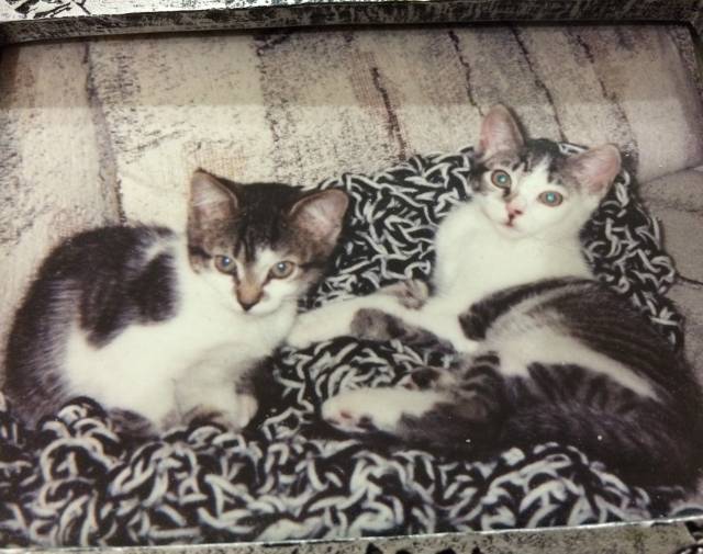 Lily & Callie Anns