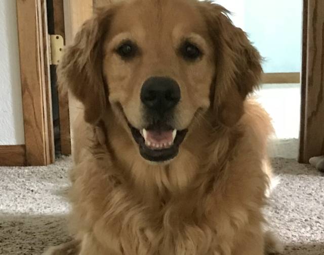 Lucy Profile Image