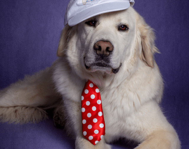 Yukon Profile Image