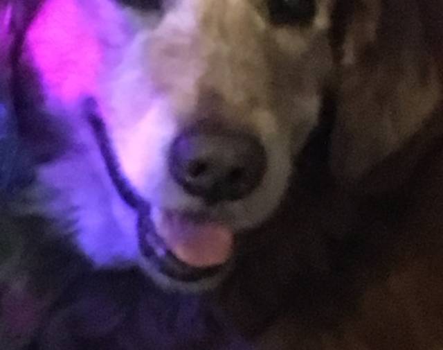 Marley Profile Image