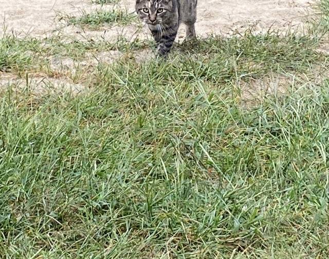 Amari Dior Rodriguez Profile Image