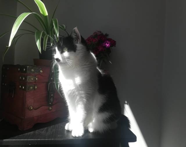 Munchies Profile Image