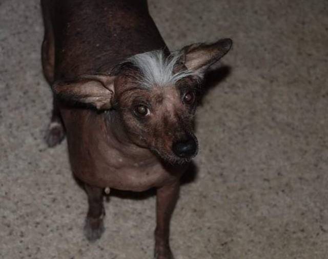 Artie Profile Image