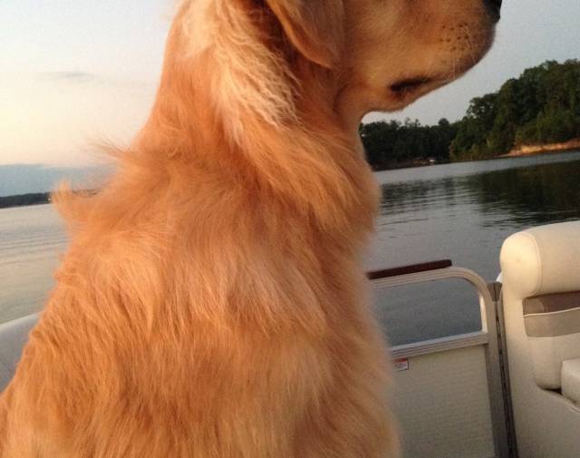Dipper loved to go for a boat ride