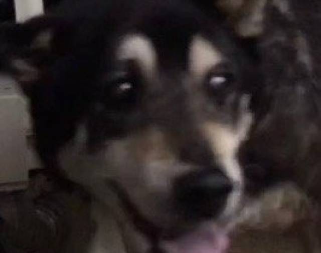 Maddox Profile Image
