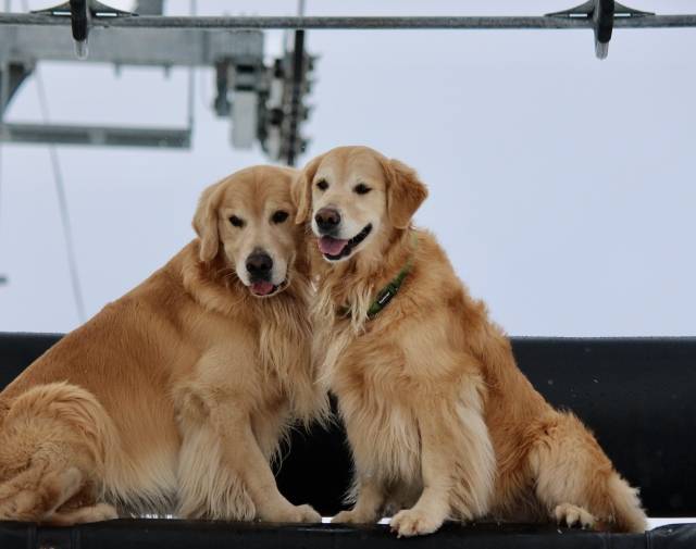 Cali & Gideon Gallery Image 1