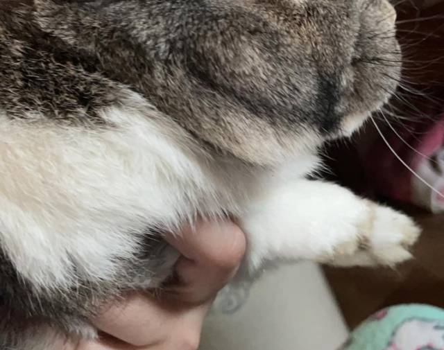 Zoey Profile Image