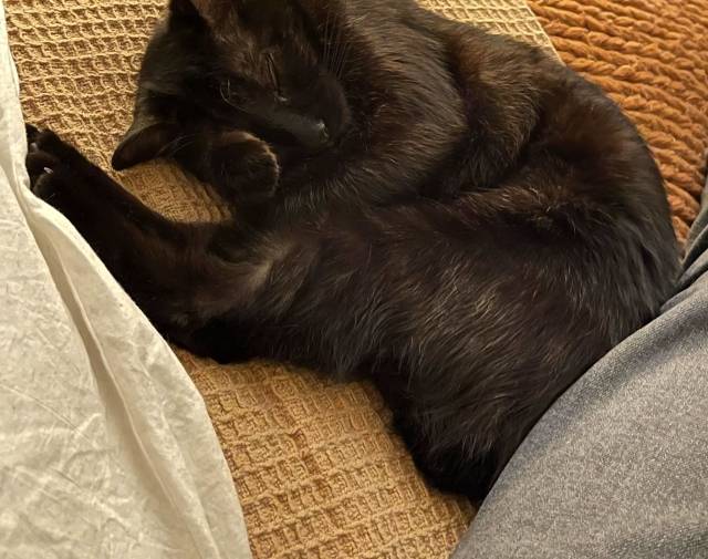 Napping Pep