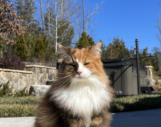 Gabby