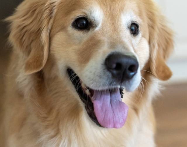 Charlie  Profile Image