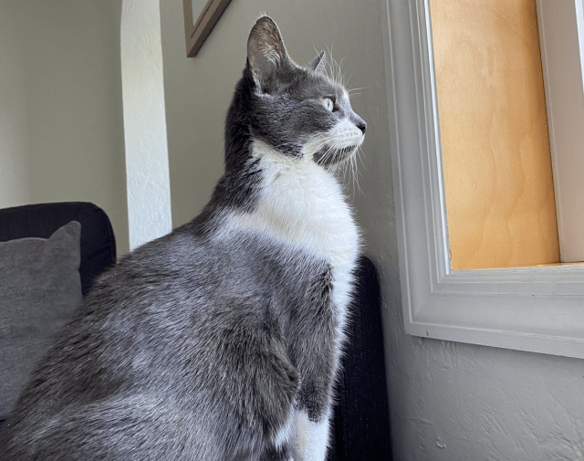 Delilah Profile Image