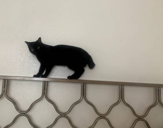 Climber Pep