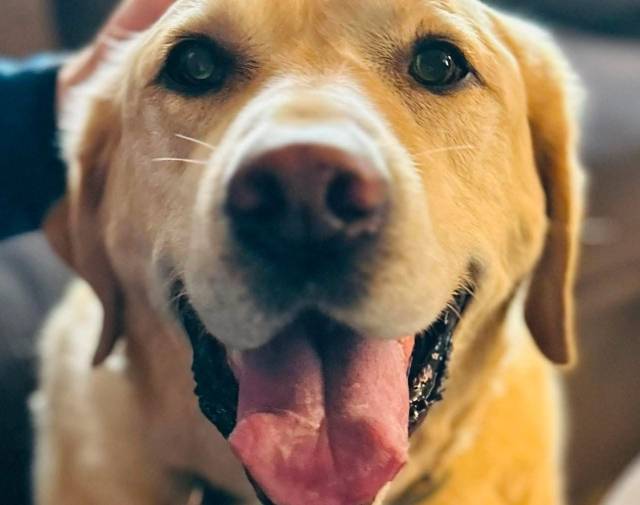 Buddy Profile Image