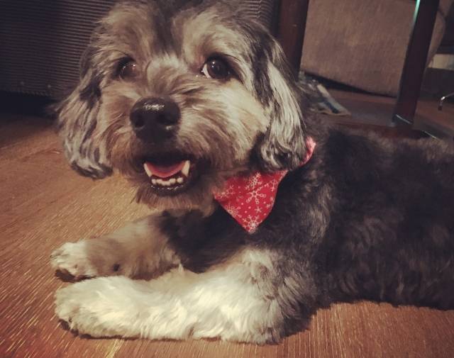 Pablo Profile Image
