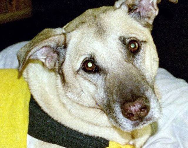 Remington Profile Image
