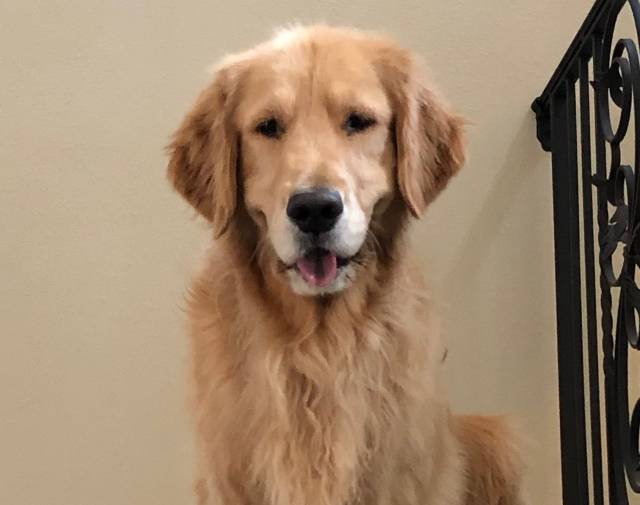 Quincy Profile Image