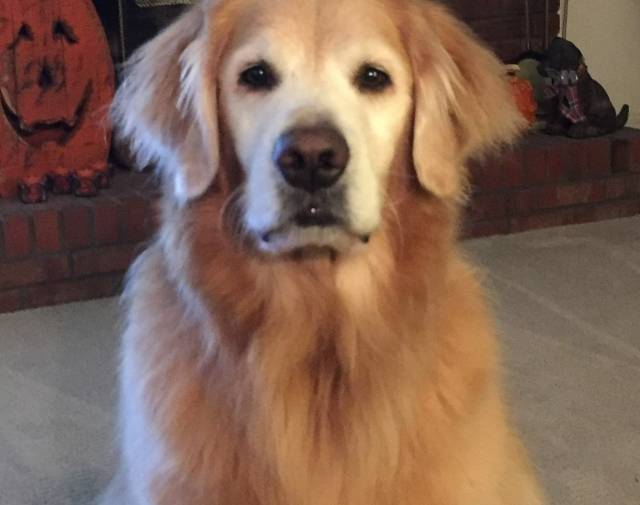 Sam