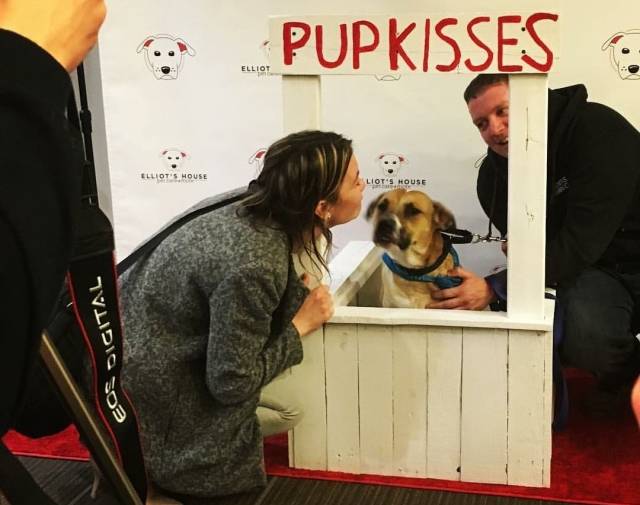 Rags Gallery Image 8