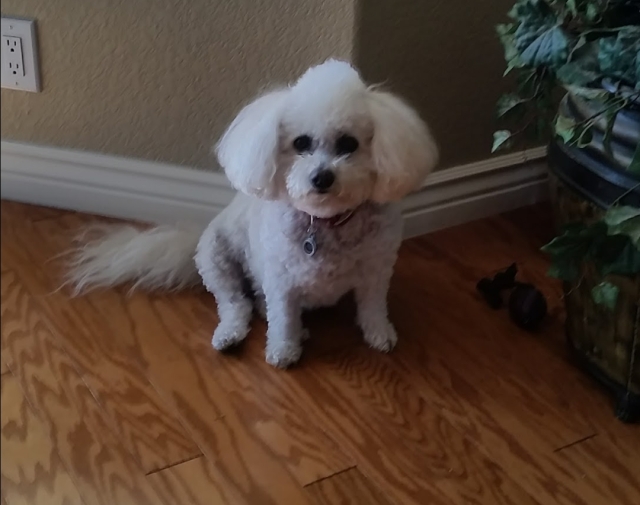 Molly Profile Image